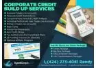 Build your company and obtain business credit
