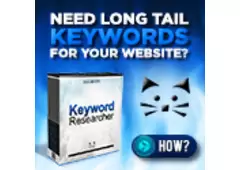 software company that's famous for making Keyword Researcher