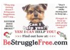 Turn Your Free Time into a Profitable Online Business!
