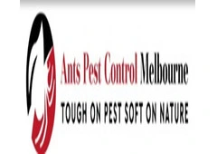 Ant Removal Services Melbourne