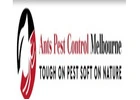 Ant Removal Services Melbourne