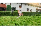 Trusted Hedge Trimming Services Auckland by Nextmow