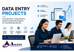 Data entry project provider