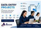 Data Entry Support Services for Companies