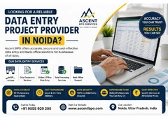 Data Entry Project Provider in Noida