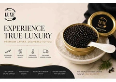Everything You Need to Know About What Is Beluga Caviar Grading