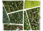 Mijardinvertical.es